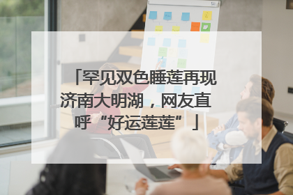 罕见双色睡莲再现济南大明湖，网友直呼“好运莲莲”