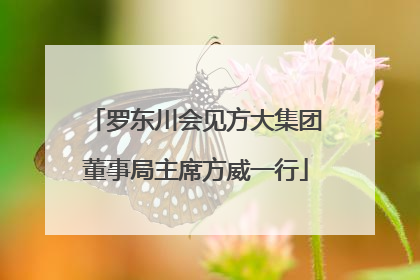 罗东川会见方大集团董事局主席方威一行