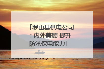 罗山县供电公司：内外兼顾 提升防汛保电能力
