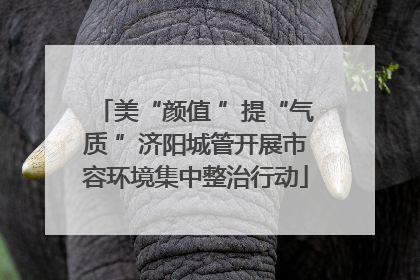 美“颜值 ”提“气质 ”济阳城管开展市容环境集中整治行动
