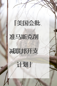 美国会批准马斯克削减联邦开支计划