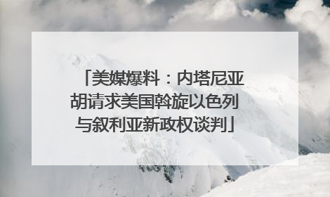 美媒爆料：内塔尼亚胡请求美国斡旋以色列与叙利亚新政权谈判
