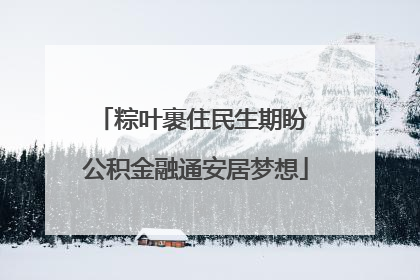 粽叶裹住民生期盼 公积金融通安居梦想
