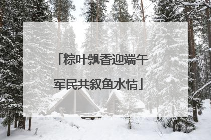 粽叶飘香迎端午 军民共叙鱼水情