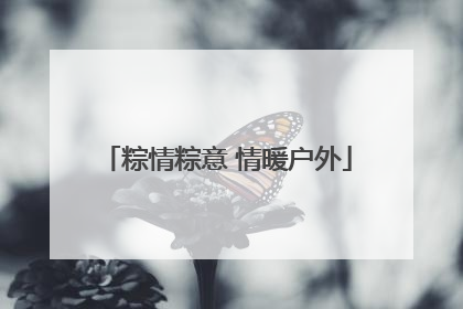 粽情粽意 情暖户外
