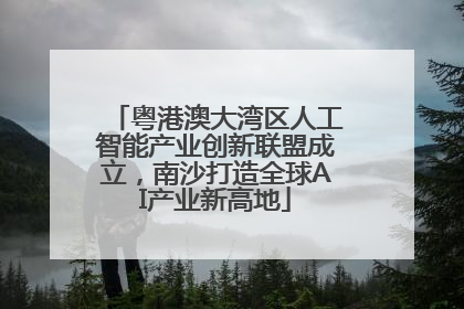粤港澳大湾区人工智能产业创新联盟成立，南沙打造全球AI产业新高地