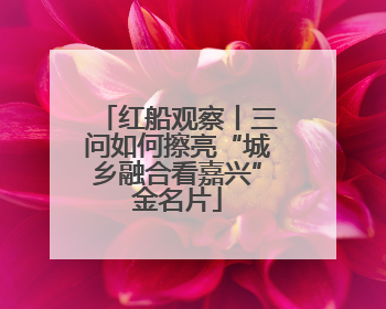 红船观察丨三问如何擦亮“城乡融合看嘉兴”金名片