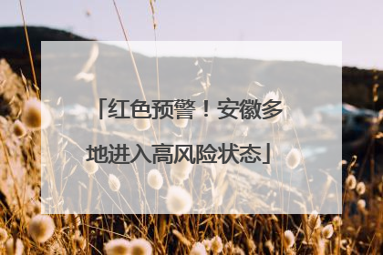 红色预警！安徽多地进入高风险状态