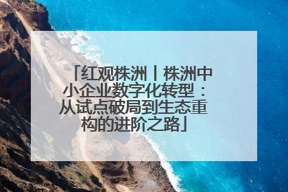红观株洲丨株洲中小企业数字化转型：从试点破局到生态重构的进阶之路