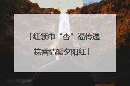 红领巾“杏”福传递 粽香情暖夕阳红