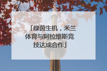 绿茵生机，米兰体育与阿拉维斯竞技达成合作
