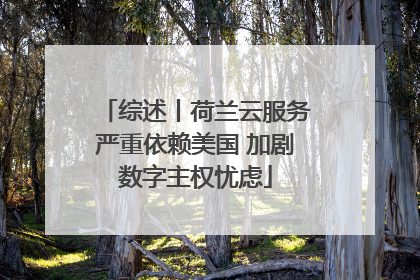 综述丨荷兰云服务严重依赖美国 加剧数字主权忧虑