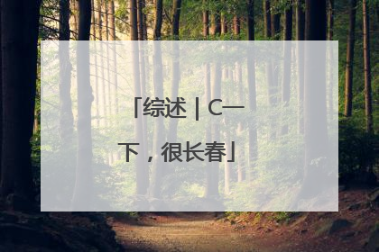 综述｜C一下，很长春