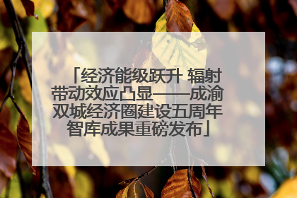经济能级跃升 辐射带动效应凸显——成渝双城经济圈建设五周年智库成果重磅发布