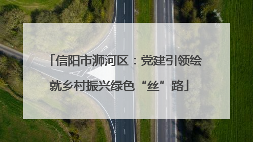 信阳市浉河区：党建引领绘就乡村振兴绿色“丝”路