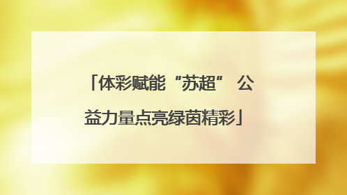 体彩赋能“苏超” 公益力量点亮绿茵精彩