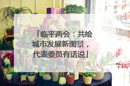 临平两会：共绘城市发展新图景，代表委员有话说