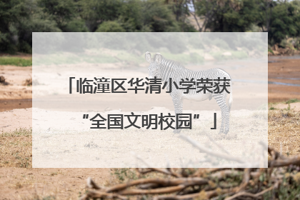 临潼区华清小学荣获“全国文明校园”
