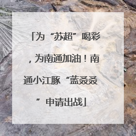 为“苏超”喝彩，为南通加油！南通小江豚“蓝叒叒”申请出战