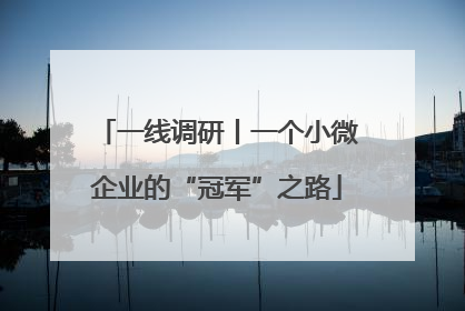 一线调研丨一个小微企业的“冠军”之路