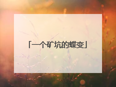 一个矿坑的蝶变