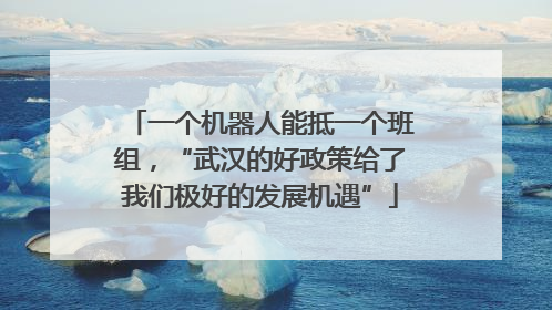 一个机器人能抵一个班组，“武汉的好政策给了我们极好的发展机遇”