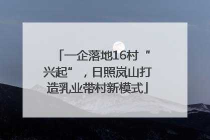 一企落地16村“兴起”，日照岚山打造乳业带村新模式