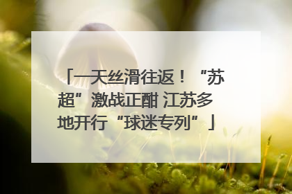 一天丝滑往返！“苏超”激战正酣 江苏多地开行“球迷专列”
