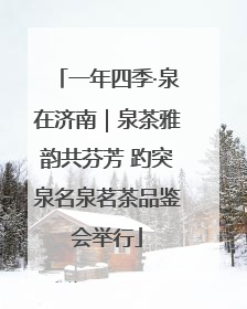 一年四季·泉在济南｜泉茶雅韵共芬芳 趵突泉名泉茗茶品鉴会举行