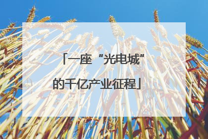一座“光电城”的千亿产业征程