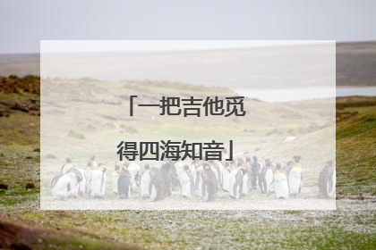 一把吉他觅得四海知音