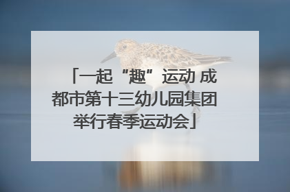 一起“趣”运动 成都市第十三幼儿园集团举行春季运动会