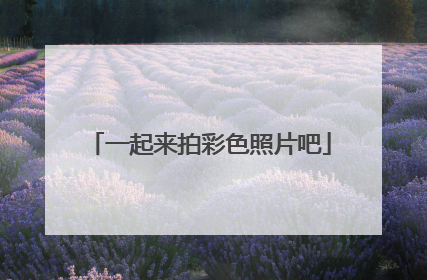 一起来拍彩色照片吧