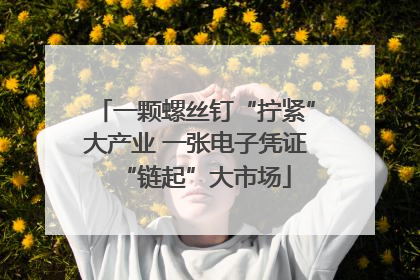 一颗螺丝钉“拧紧”大产业 一张电子凭证“链起”大市场