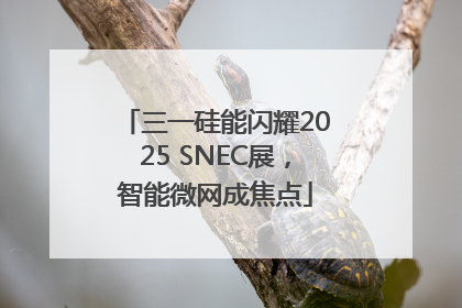 三一硅能闪耀2025 SNEC展，智能微网成焦点
