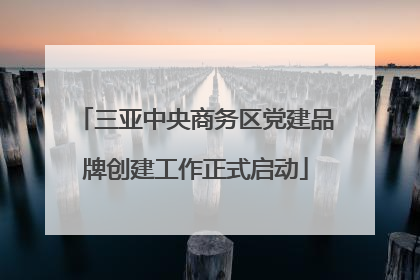 三亚中央商务区党建品牌创建工作正式启动