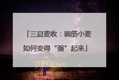 三夏麦收：弱筋小麦如何变得“强”起来