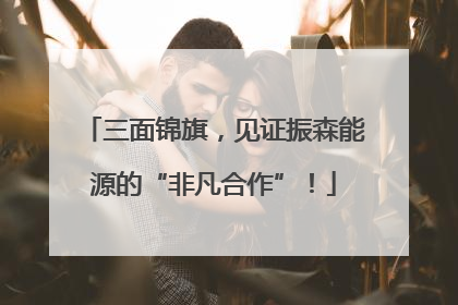三面锦旗，见证振森能源的“非凡合作”！