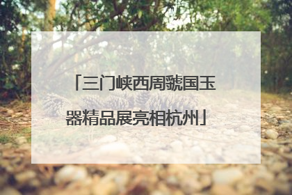 三门峡西周虢国玉器精品展亮相杭州