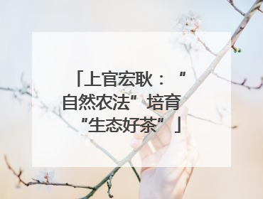 上官宏耿：“自然农法”培育“生态好茶”