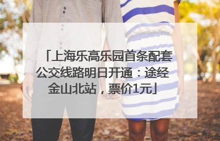 上海乐高乐园首条配套公交线路明日开通：途经金山北站，票价1元