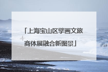 上海宝山区擘画文旅商体展融合新图景
