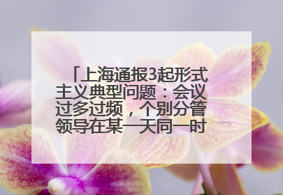 上海通报3起形式主义典型问题：会议过多过频，个别分管领导在某一天同一时段需参加3个会议