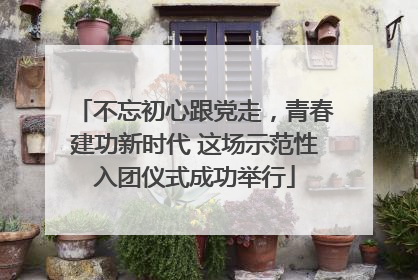 不忘初心跟党走，青春建功新时代 这场示范性入团仪式成功举行