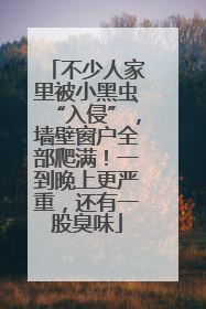 不少人家里被小黑虫“入侵”，墙壁窗户全部爬满！一到晚上更严重，还有一股臭味