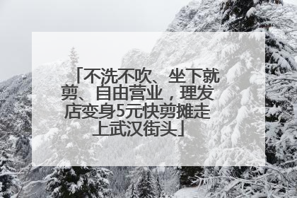不洗不吹、坐下就剪、自由营业，理发店变身5元快剪摊走上武汉街头