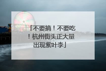 不要摘！不要吃！杭州街头正大量出现紫叶李