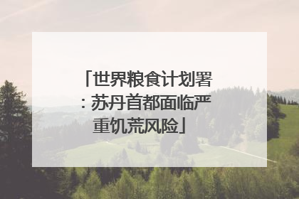 世界粮食计划署：苏丹首都面临严重饥荒风险