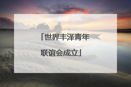 世界丰泽青年联谊会成立
