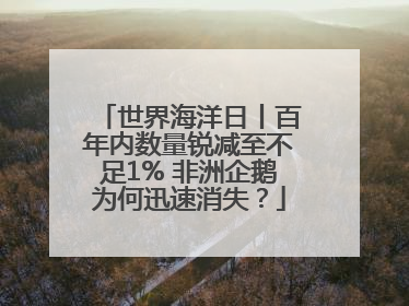 世界海洋日丨百年内数量锐减至不足1% 非洲企鹅为何迅速消失？